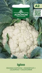 Cauliflower Igloo Seed.